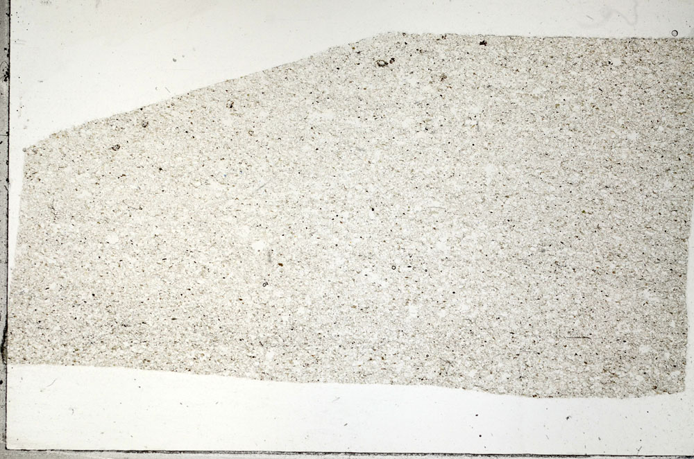 Plane Polarized, S98793