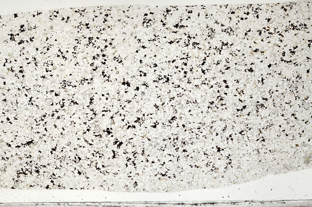 Plane Polarized, S98794