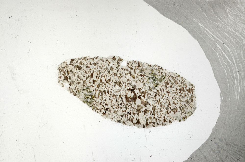 Plane Polarized, S98849