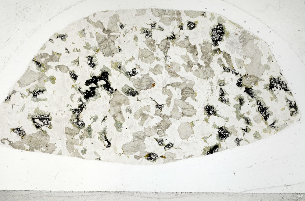 Plane Polarized, S98860