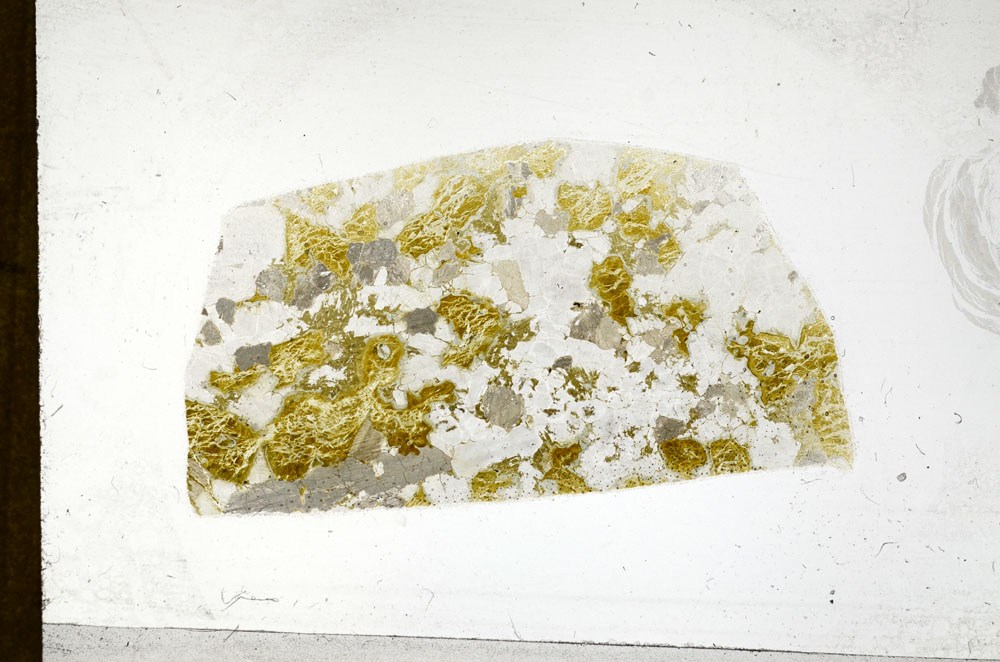 Plane Polarized, S98861