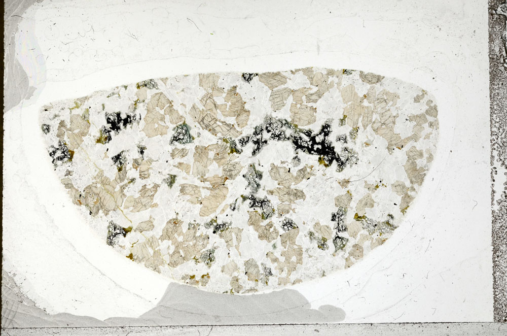 Plane Polarized, S98862