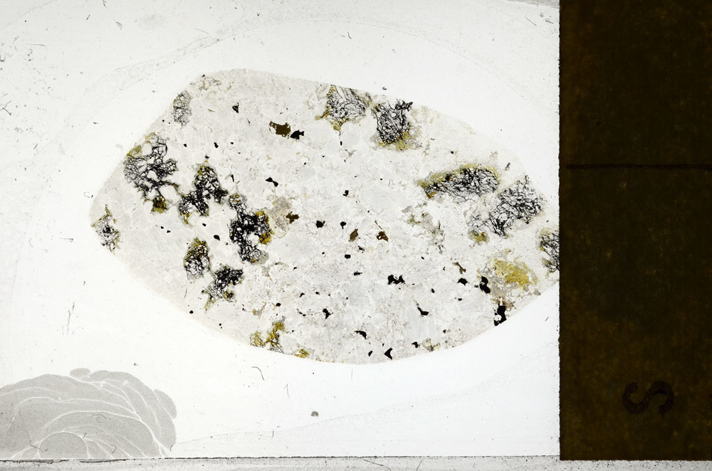 Plane Polarized, S98863