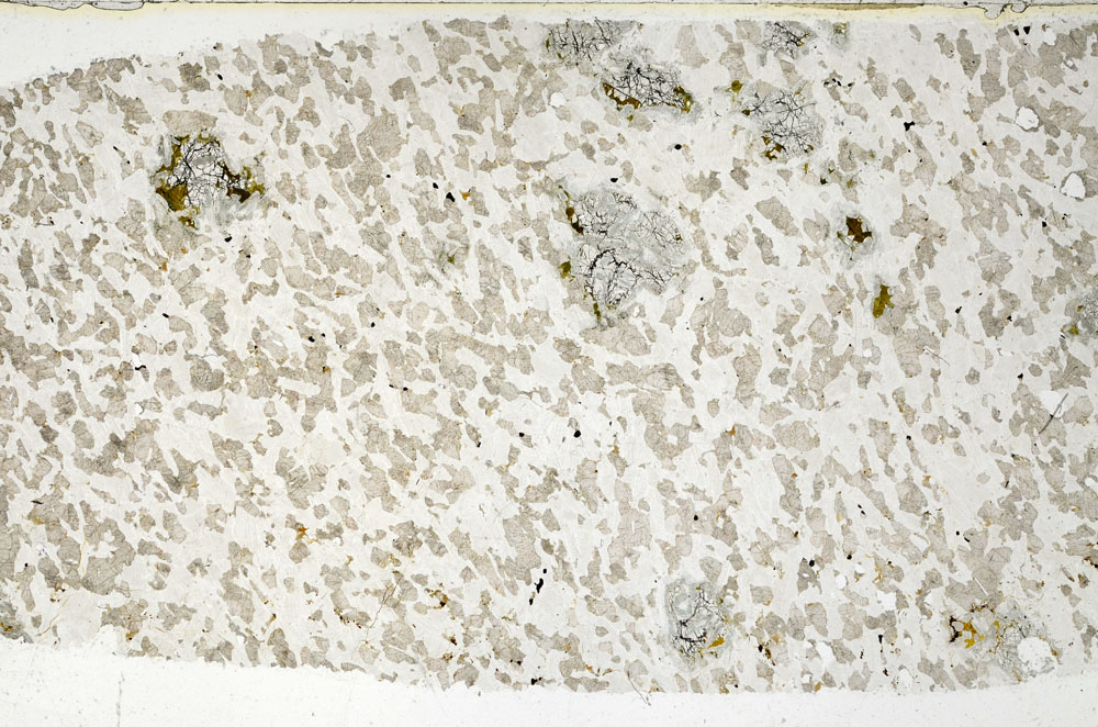 Plane Polarized, S98894