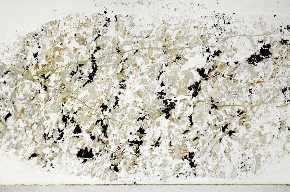 Plane Polarized, S98895