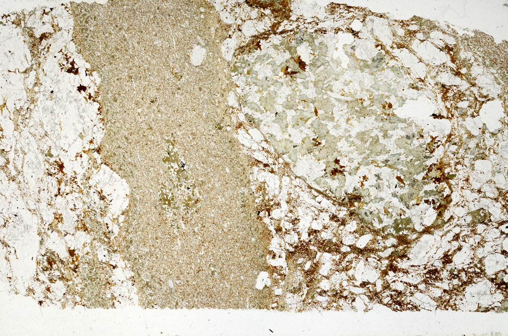 Plane Polarized, S98902
