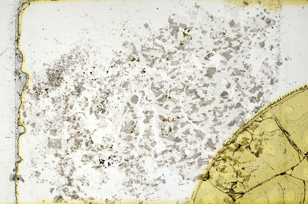 Plane Polarized, S98908/B