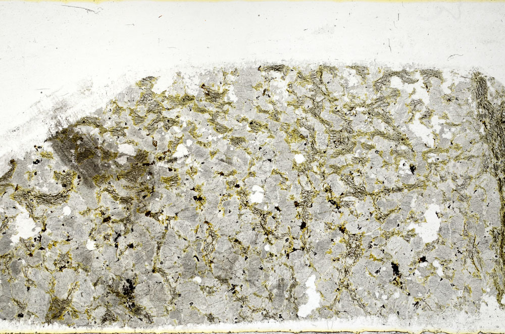 Plane Polarized, S98921