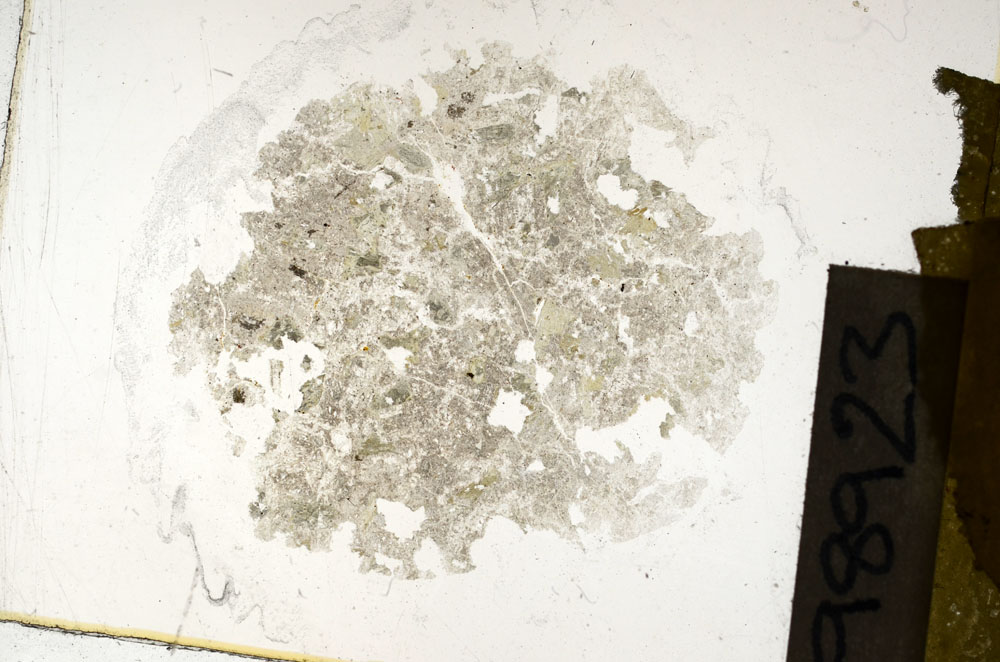 Plane Polarized, S98923