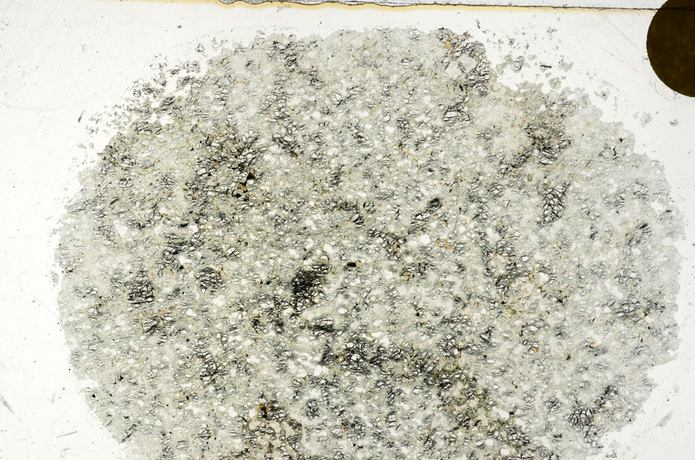 Plane Polarized, S98925