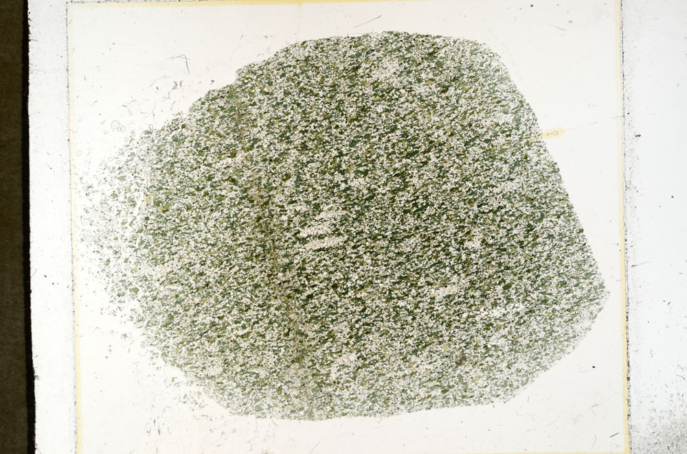 Plane Polarized, S98926