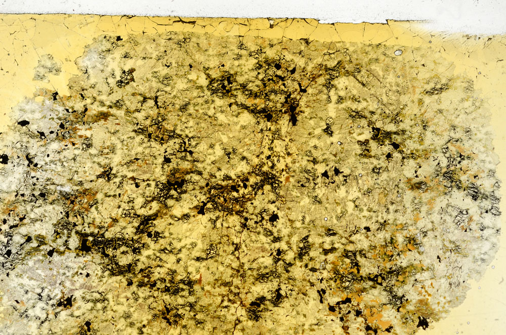 Plane Polarized, S98927