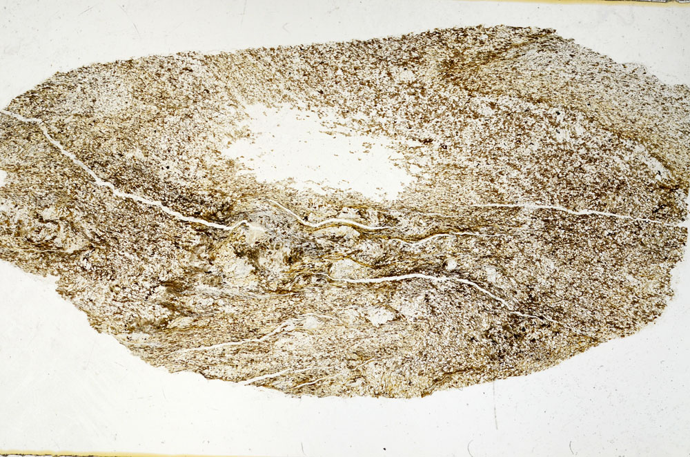 Plane Polarized, S98932