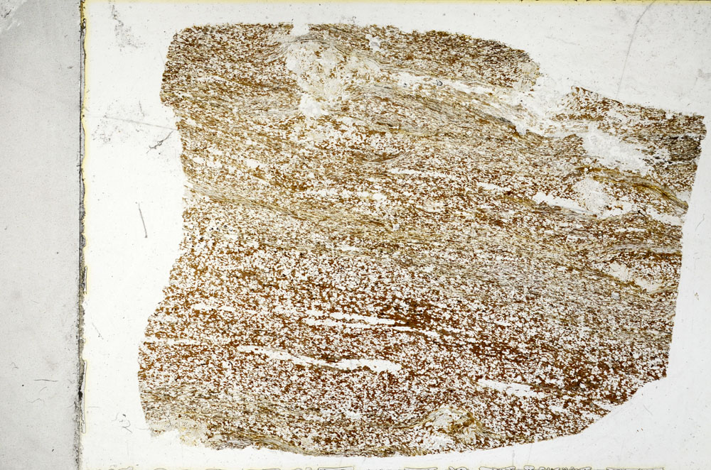 Plane Polarized, S98933