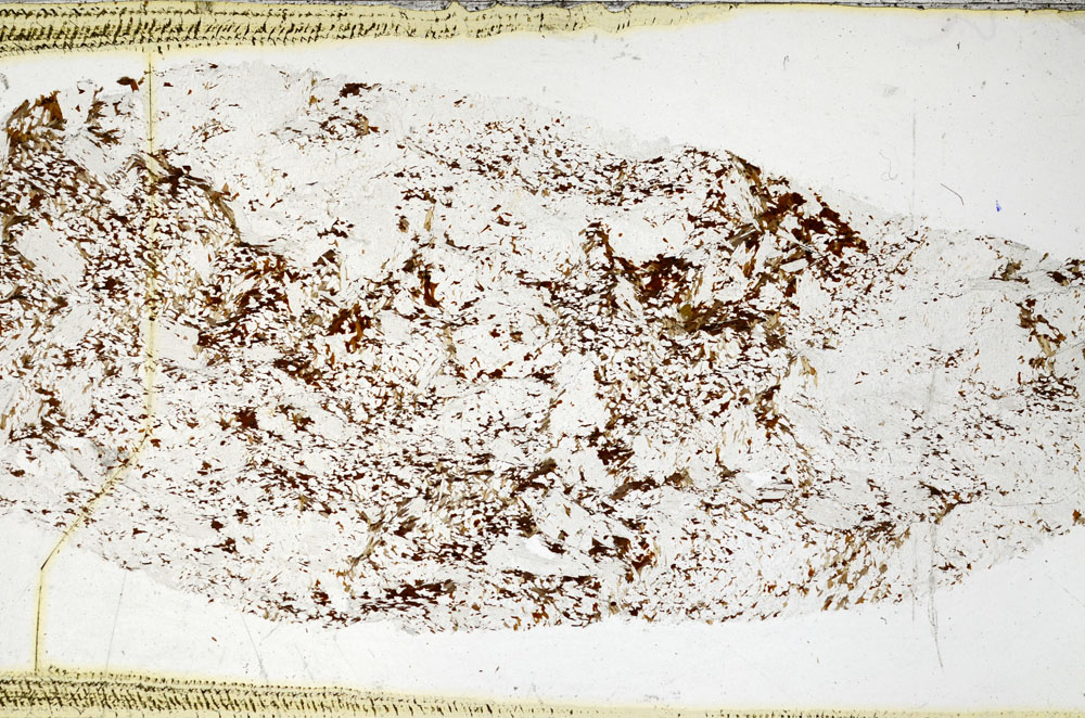 Plane Polarized, S98934