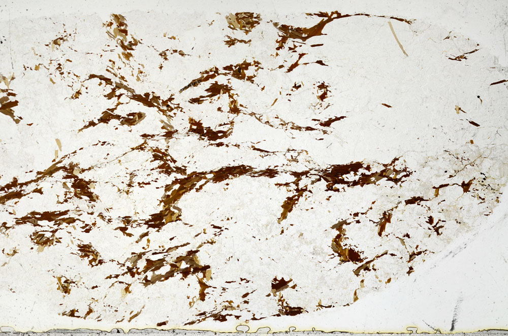 Plane Polarized, S98935