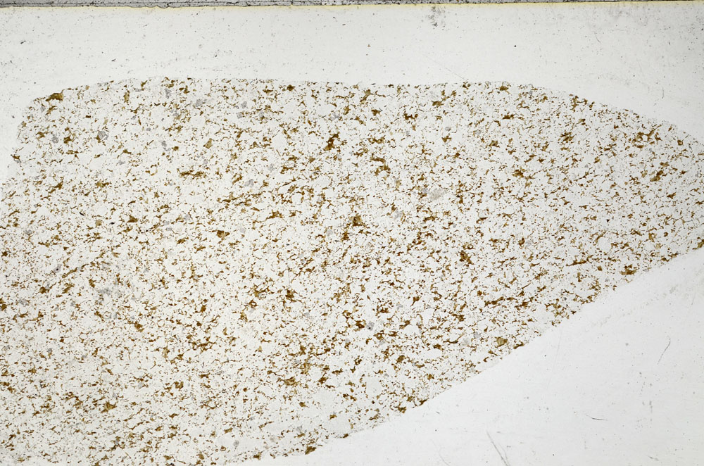 Plane Polarized, S98936