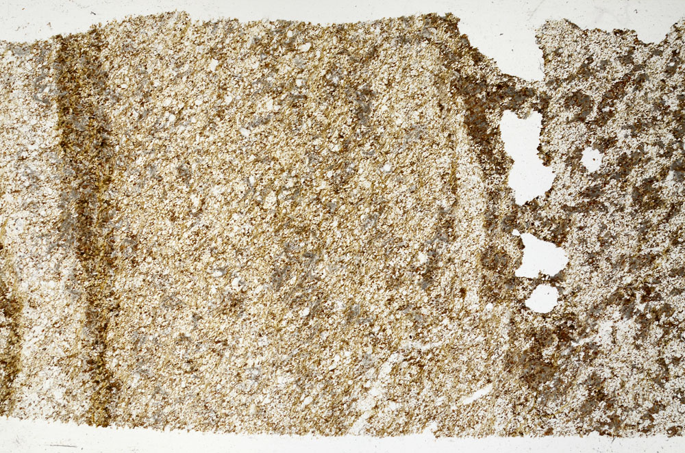 Plane Polarized, S98937