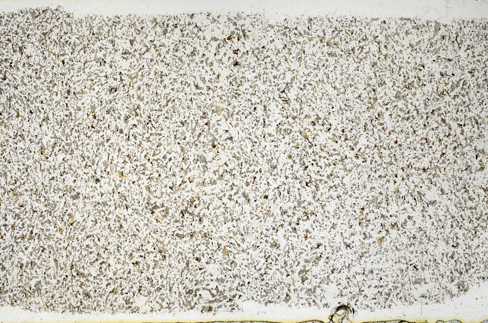 Plane Polarized, S98938