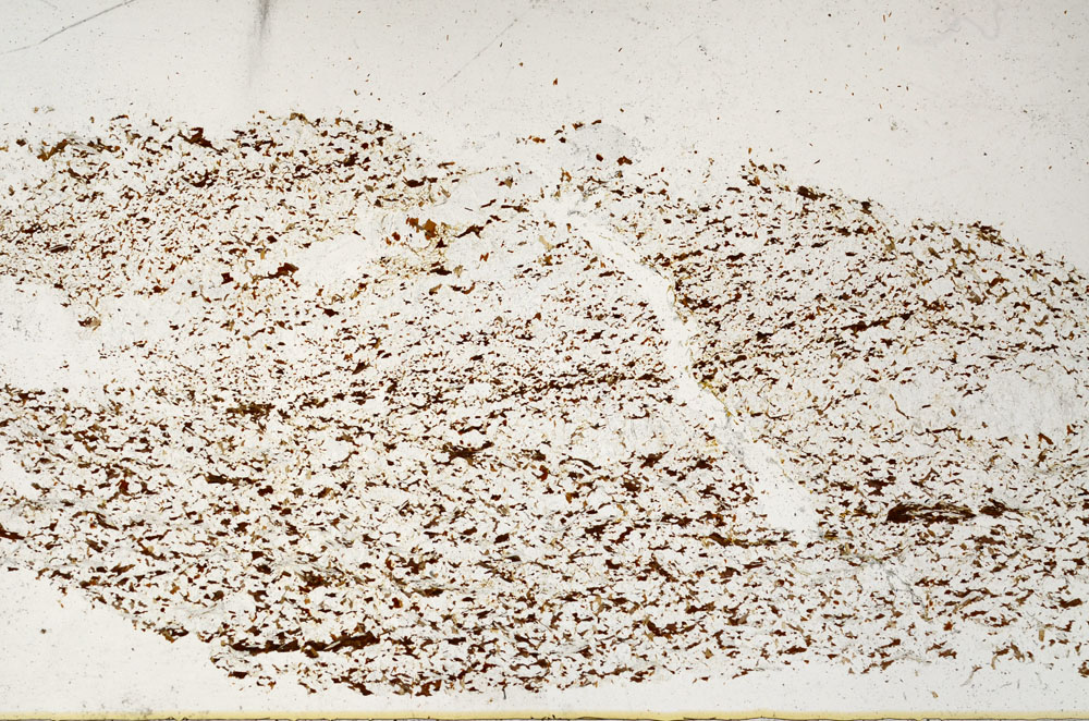 Plane Polarized, S98940