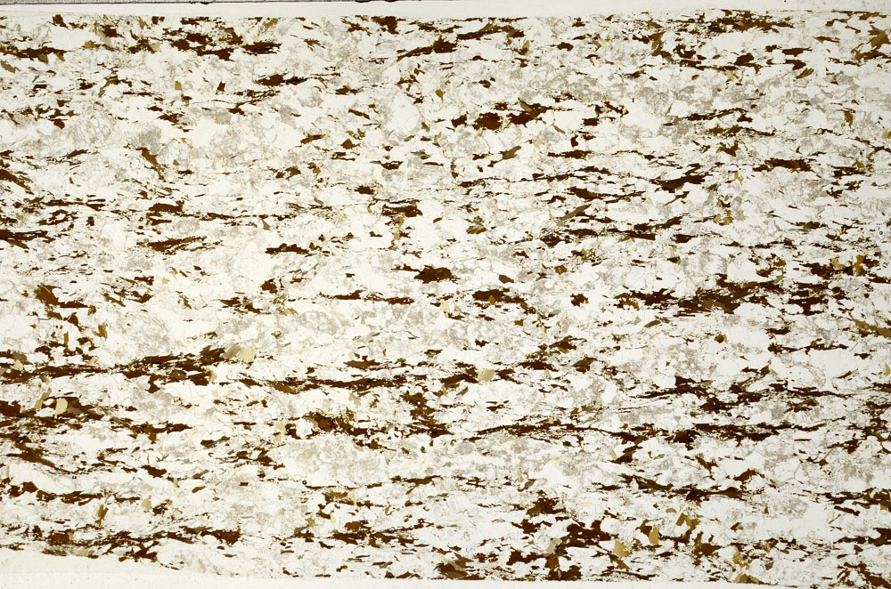 Plane Polarized, S98968
