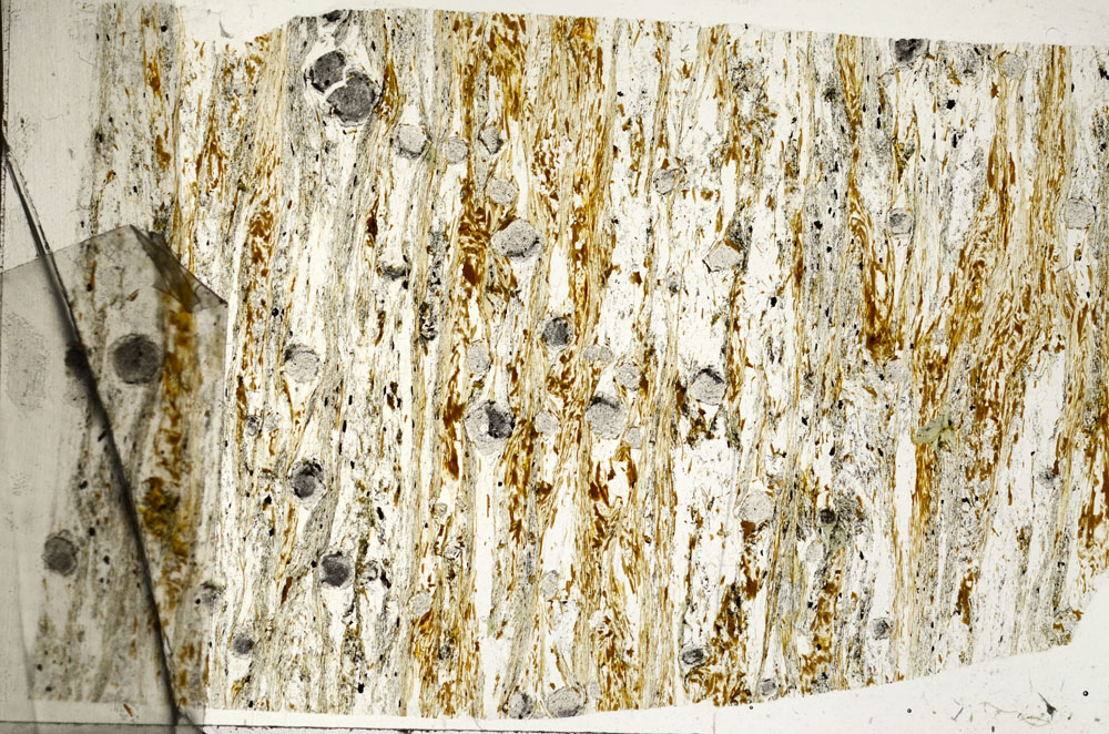 Plane Polarized, S98970