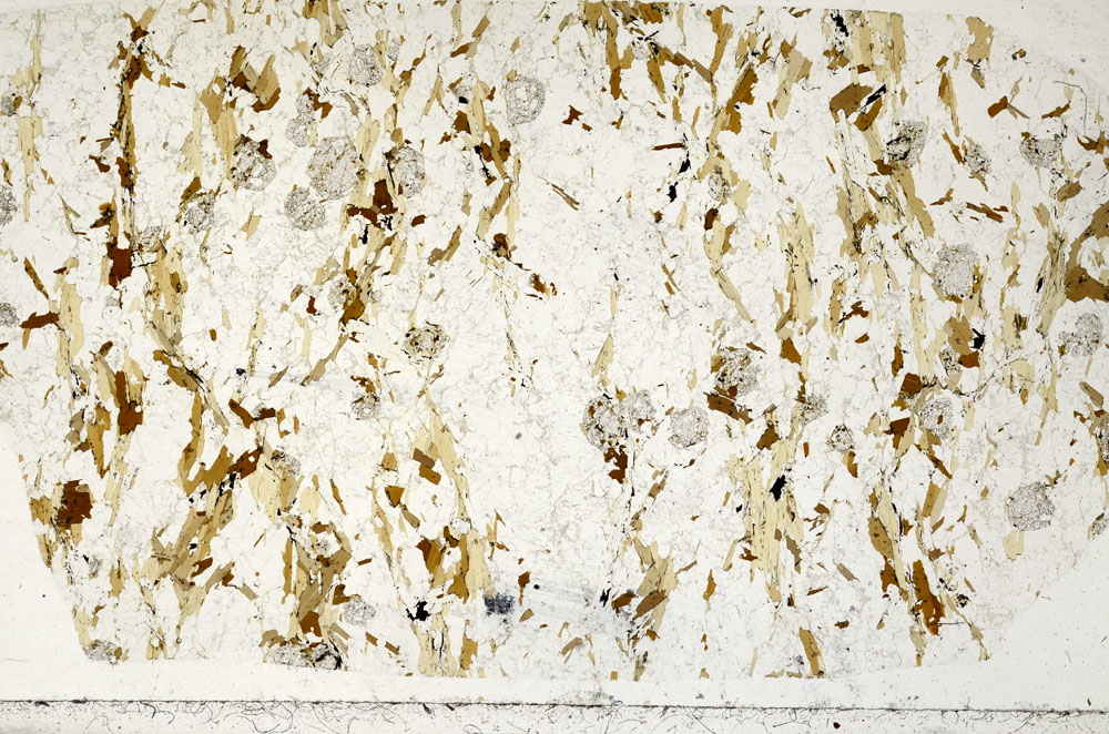 Plane Polarized, S98977