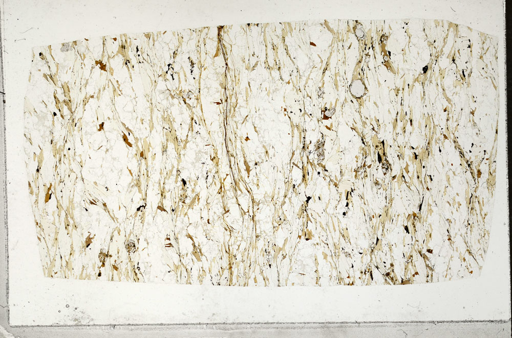 Plane Polarized, S98992