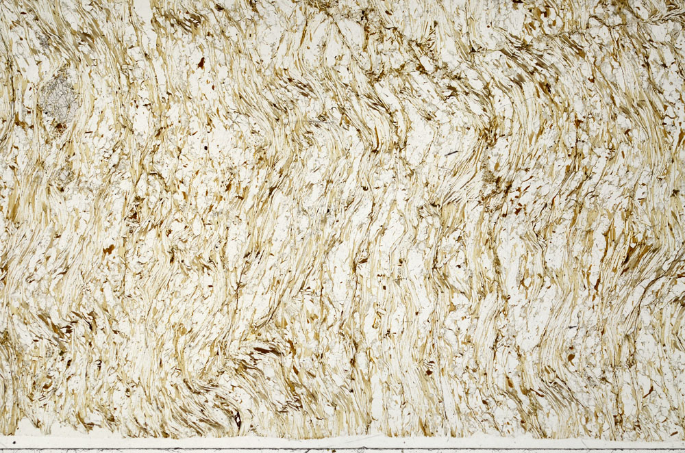 Plane Polarized, S98994