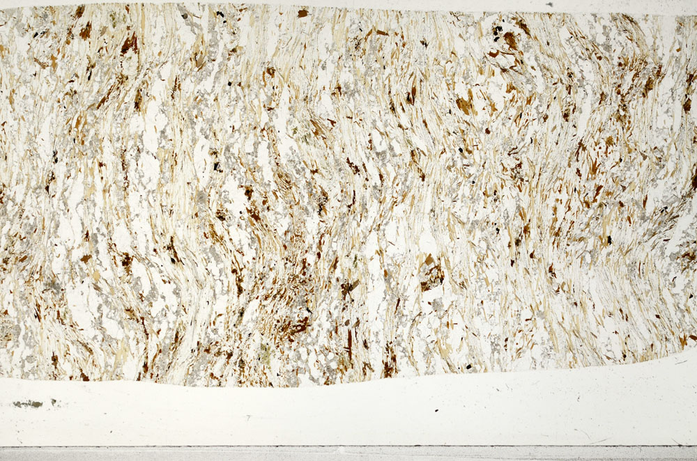 Plane Polarized, S99007