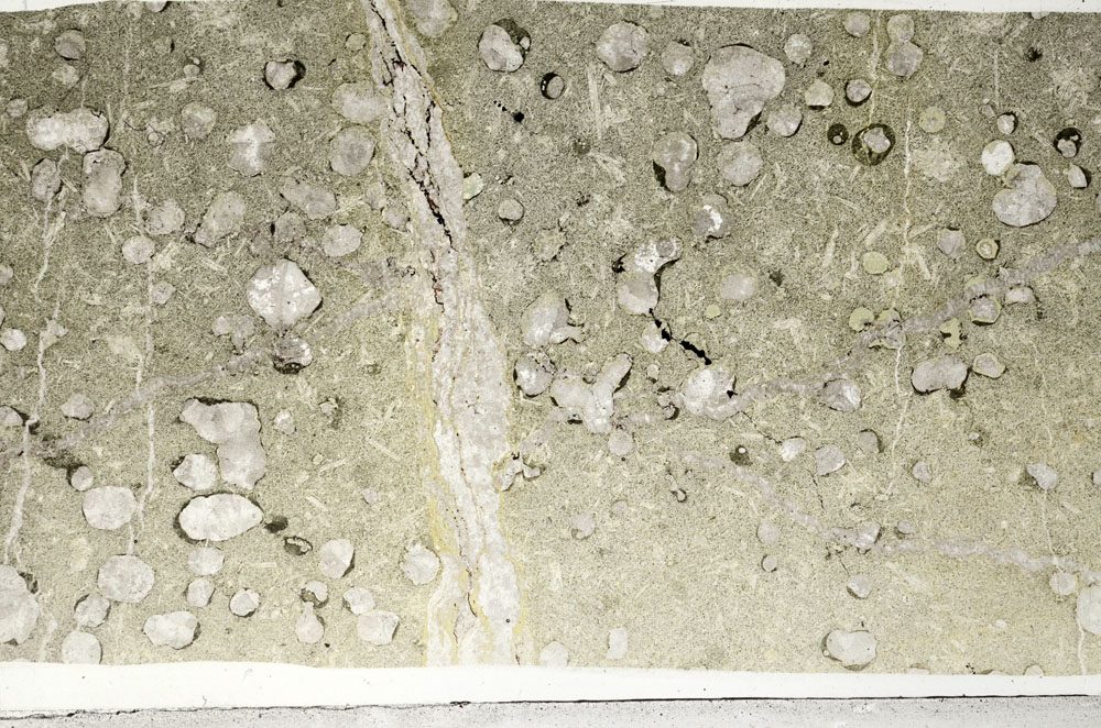 Plane Polarized, S99037