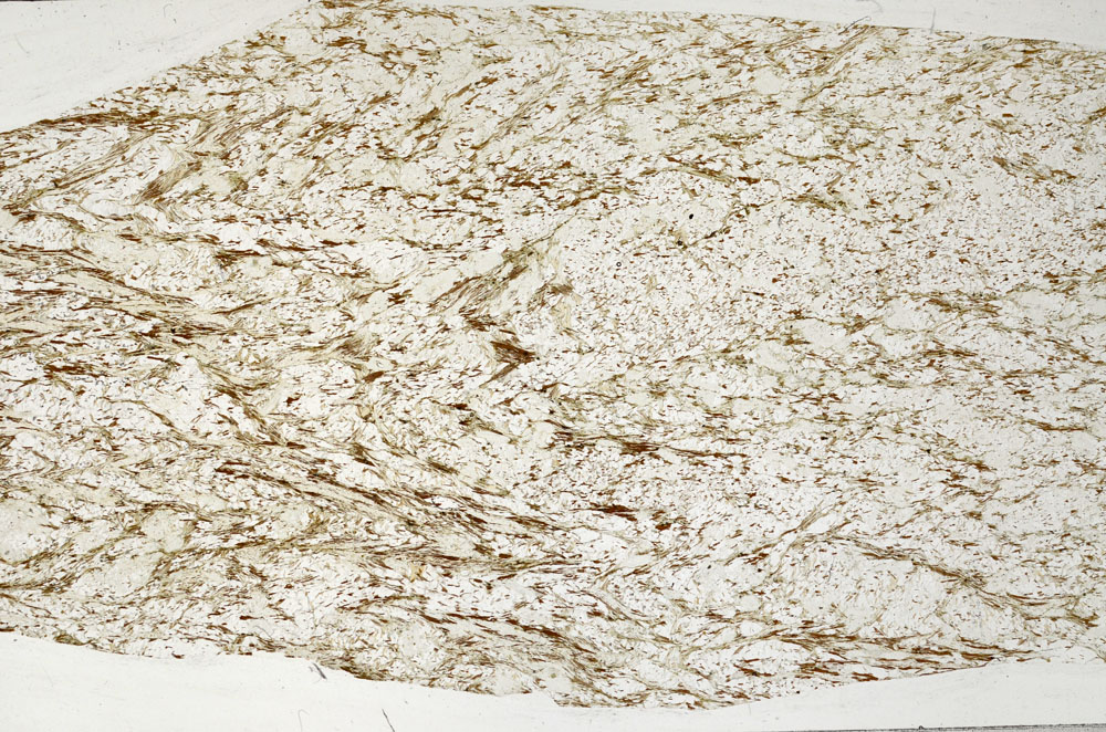 Plane Polarized, S99043