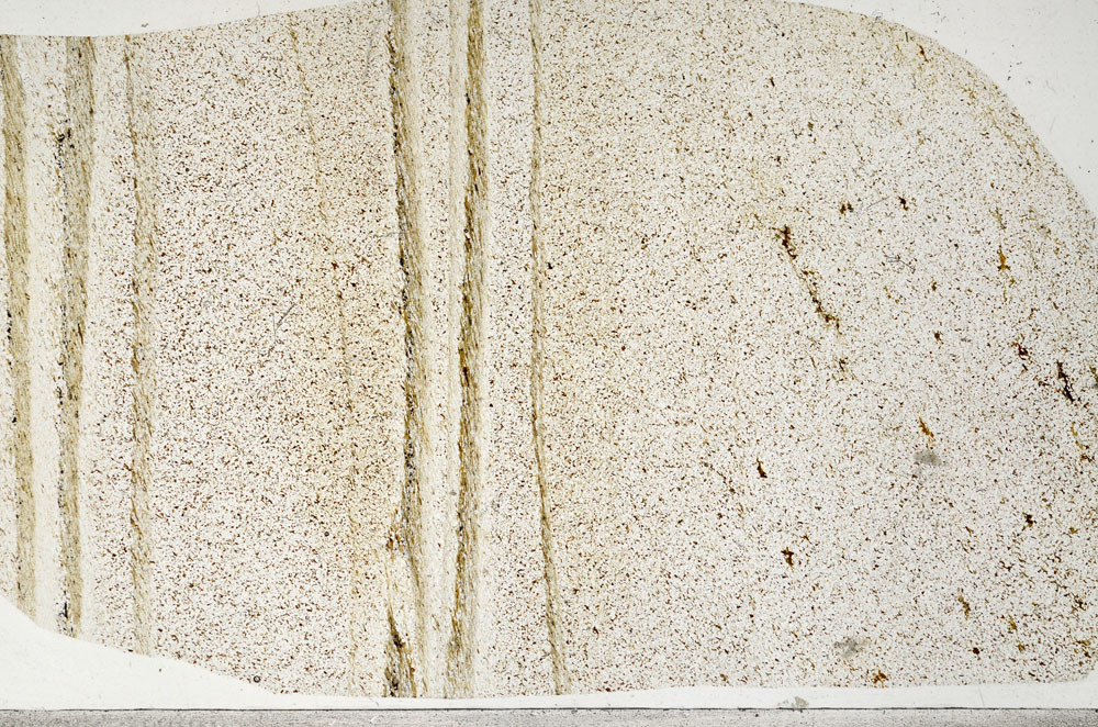 Plane Polarized, S99047