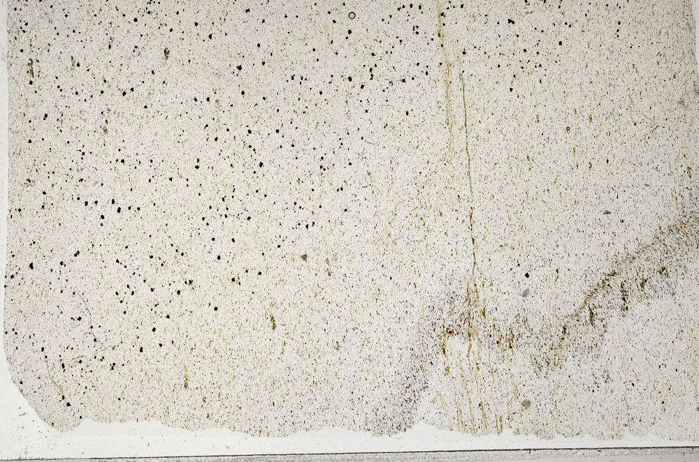 Plane Polarized, S99049