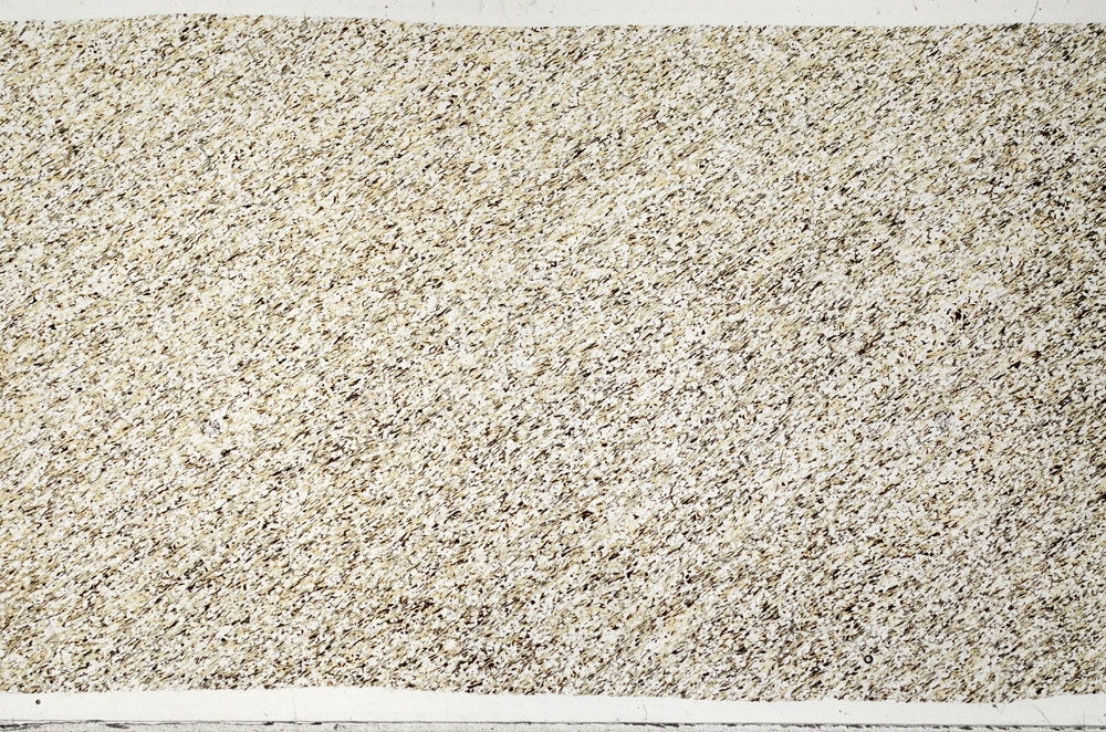 Plane Polarized, S99056