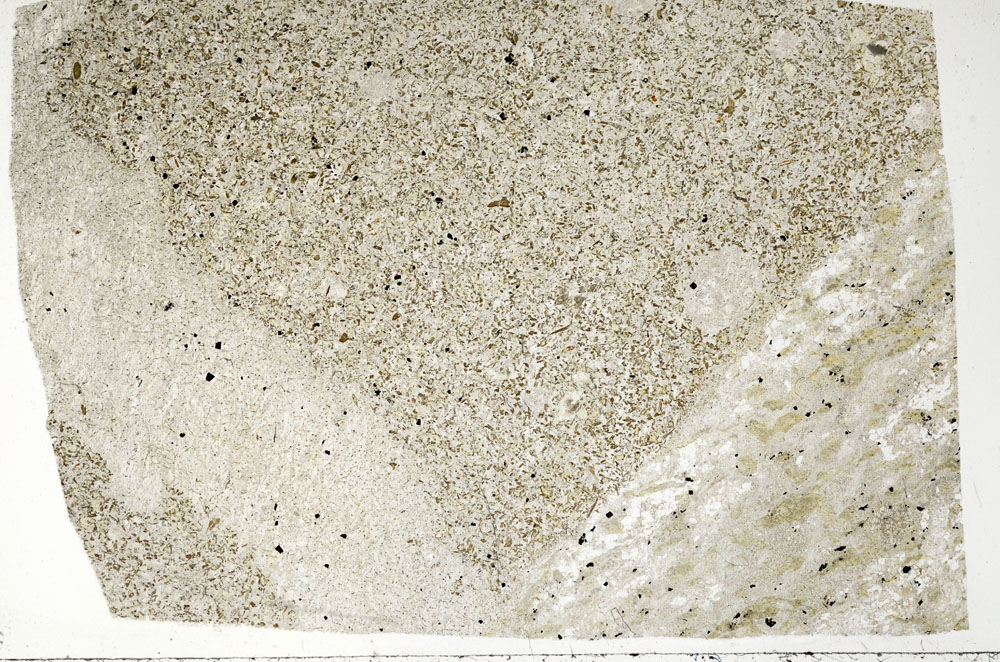 Plane Polarized, S99060