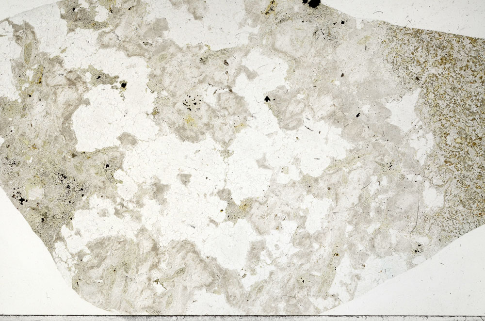 Plane Polarized, S99061