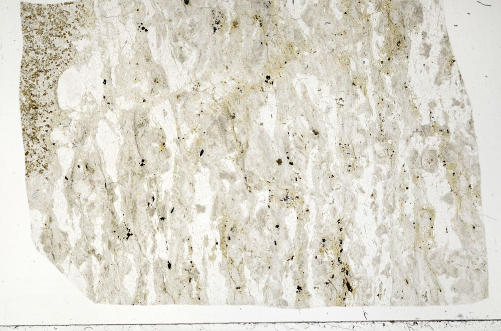 Plane Polarized, S99062