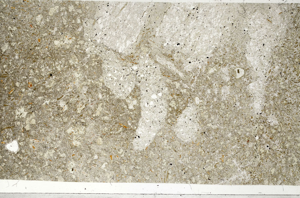 Plane Polarized, S99063