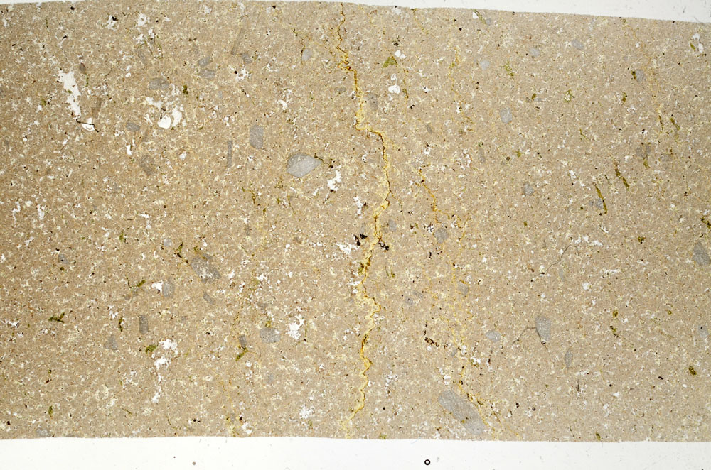 Plane Polarized, S99073