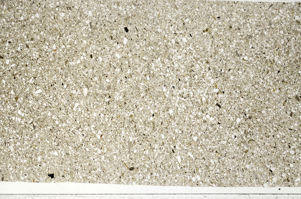 Plane Polarized, S99080