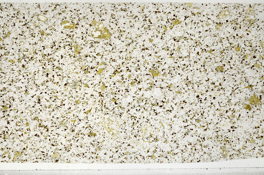 Plane Polarized, S99098