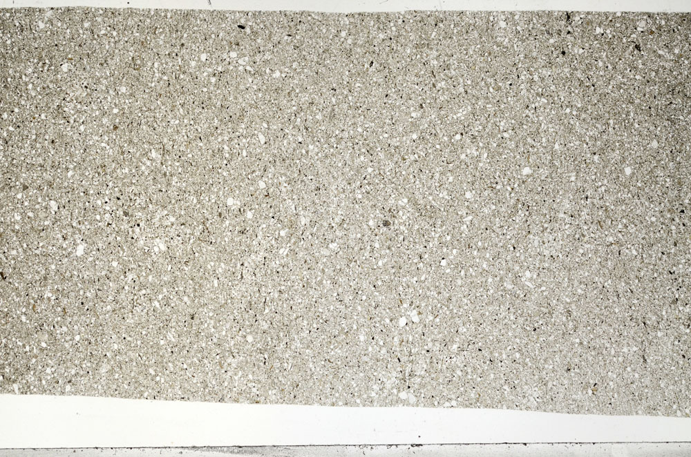 Plane Polarized, S99100