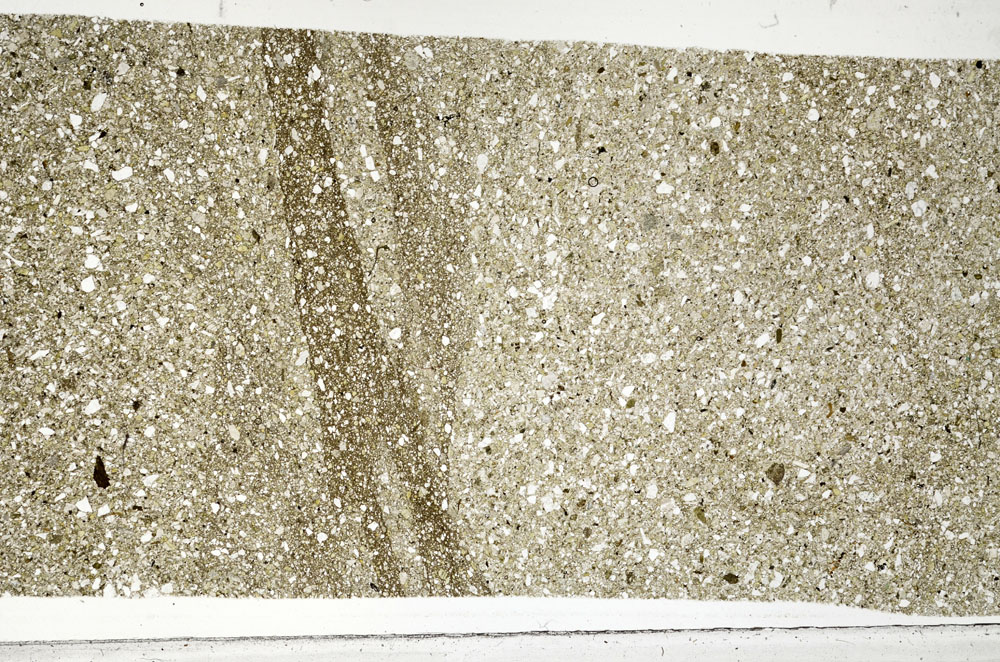 Plane Polarized, S99276