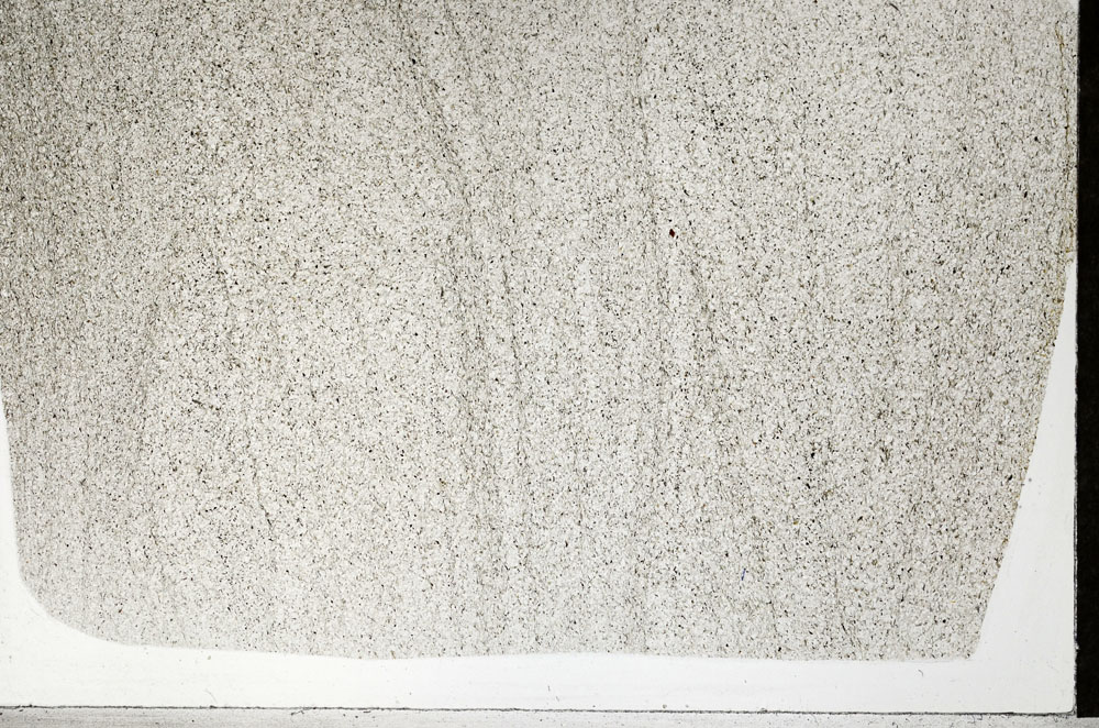 Plane Polarized, S99408