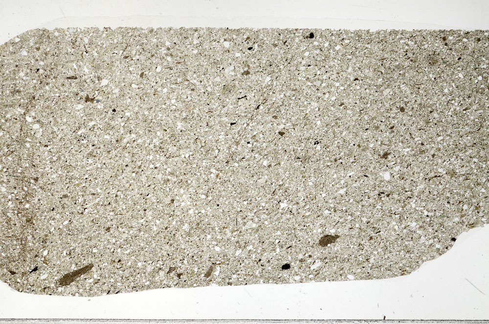 Plane Polarized, S99522