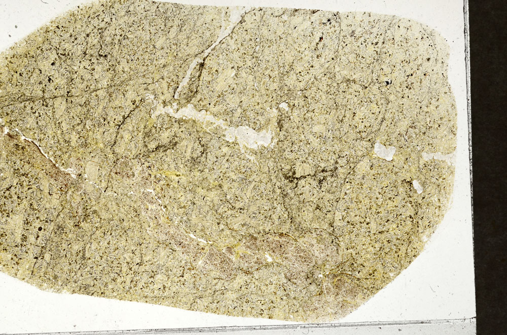 Plane Polarized, S99641