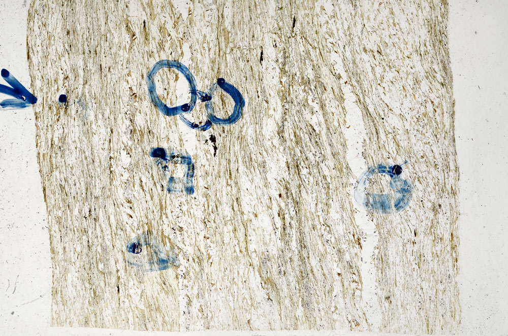 Plane Polarized, S99707