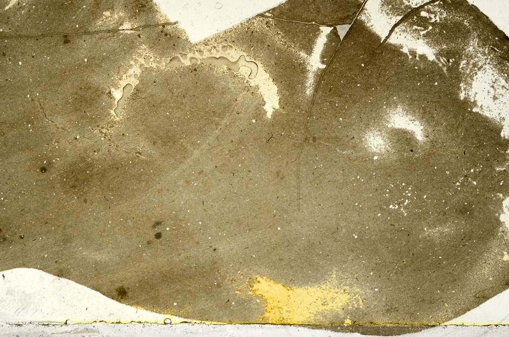 Plane Polarized, S99538
