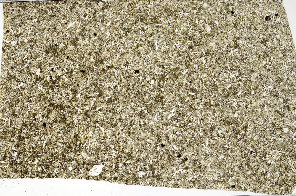 Plane Polarized, N965